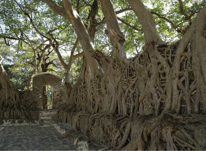08_GONDAR