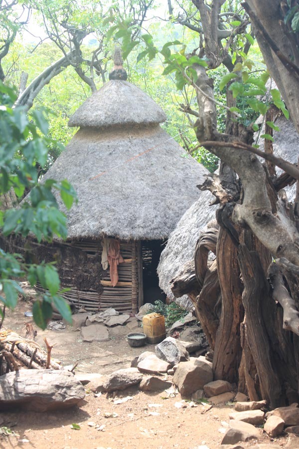 24_TRIBE-HOUSE-2